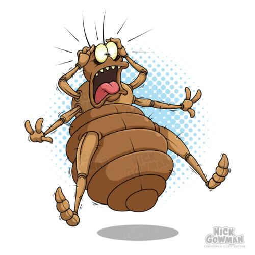 Scared Cartoon Bedbug